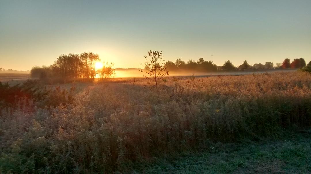 walnutwoodssunrise