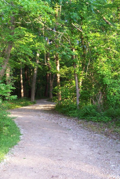 2019 May 24 Walnut Woods and Chestnut Ridge 038.JPG