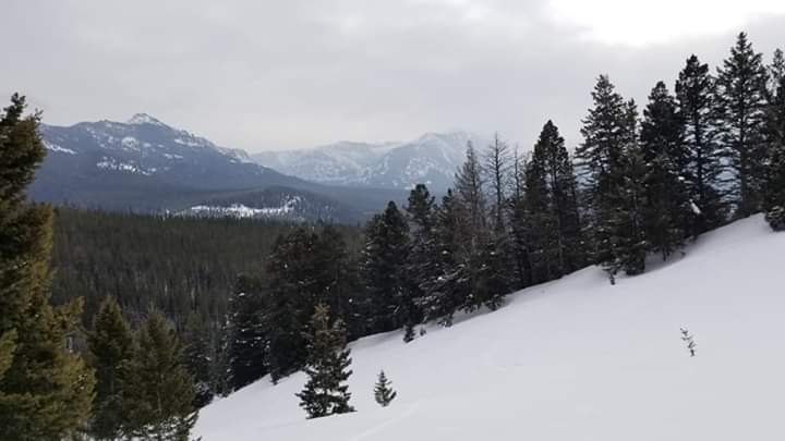 Montana Winter Pic 2019.jpg