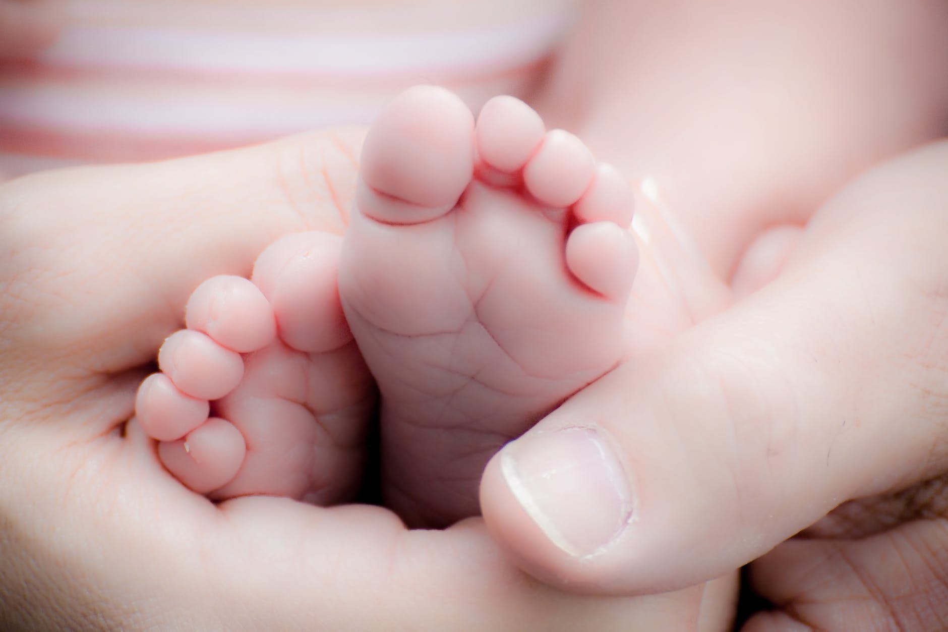 adorable baby baby feet beautiful