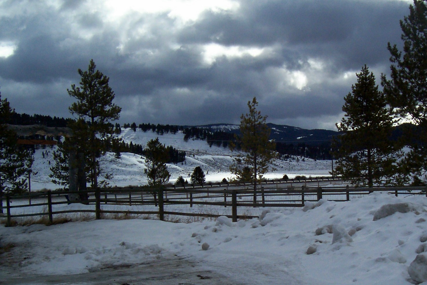 Wedding 2018 February 002.JPG