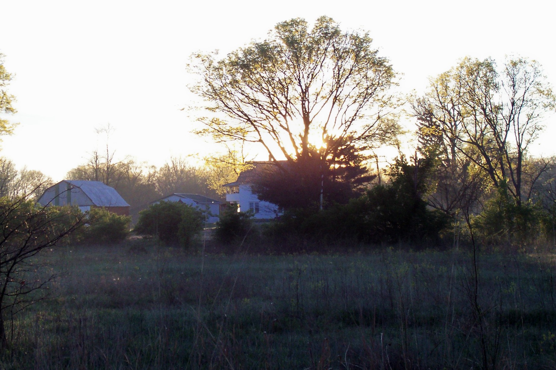 2019 April 24 Walnut Woods 002.JPG