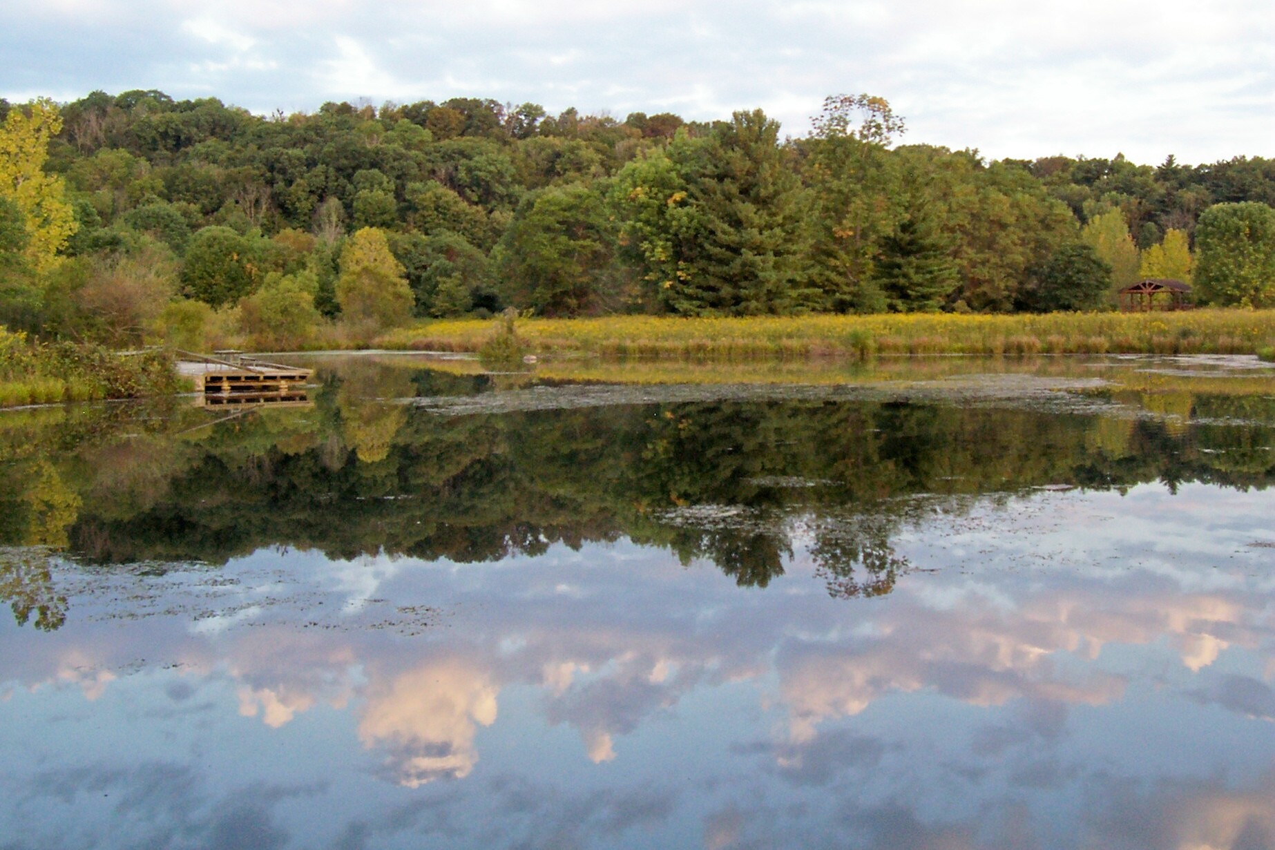 2019 September 16 Woods and Ridge 013