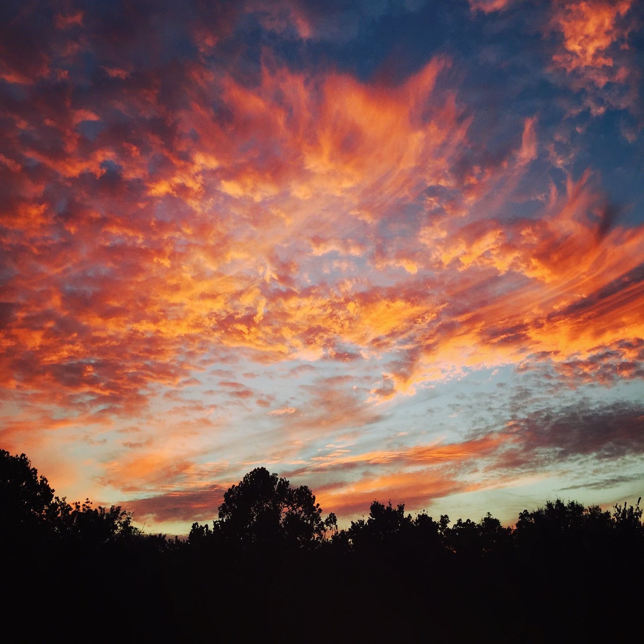 silhouette of trees under orange cloudy day