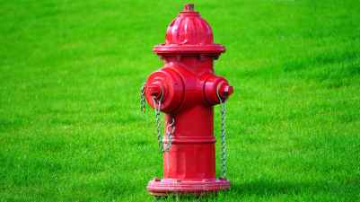 red fire hydrant on green grass field