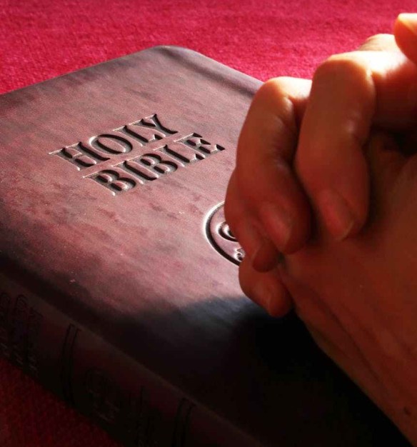 belief bible book business