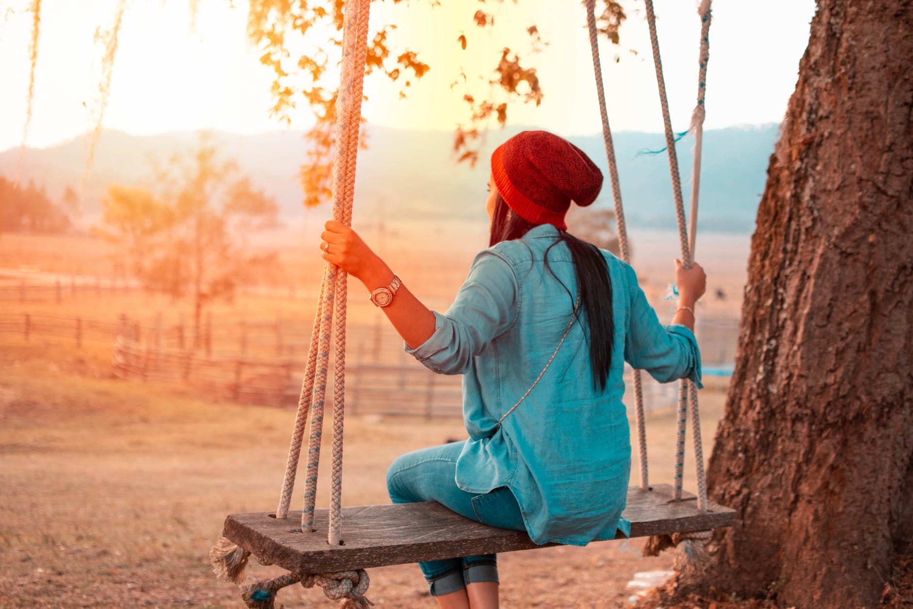 woman sitting on swing beside tree