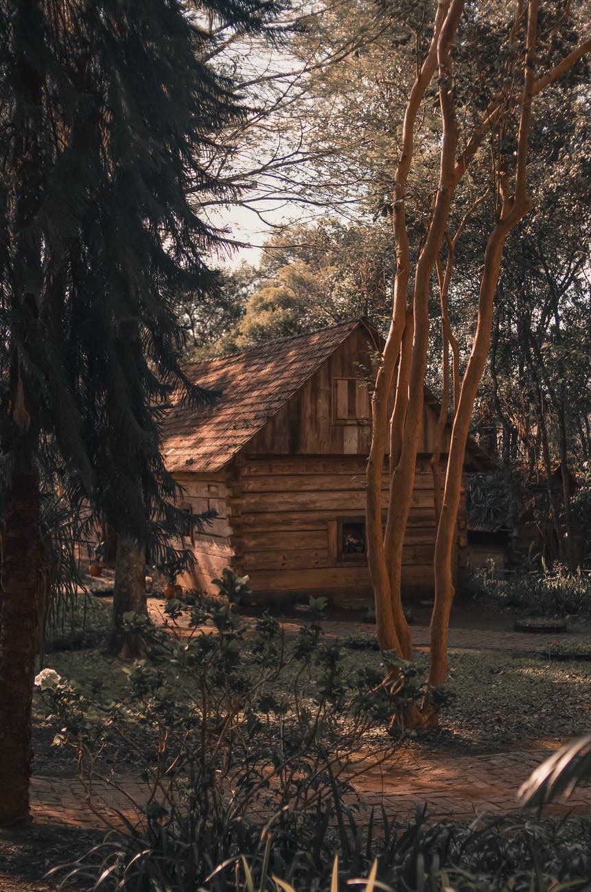 brown wooden house near trees