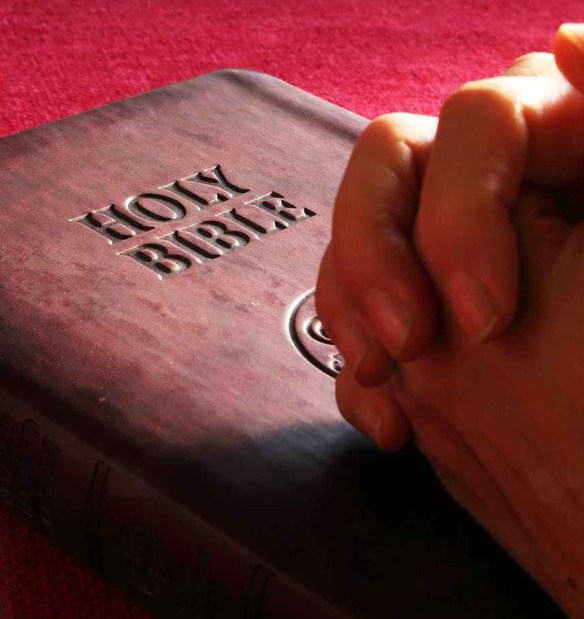 belief bible book business