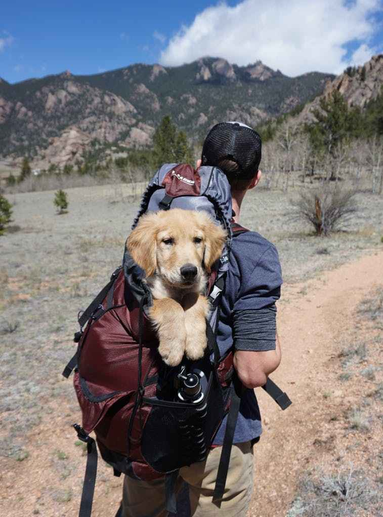man with blue and maroon camping bag