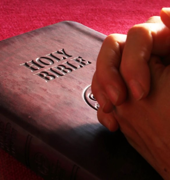 belief bible book business