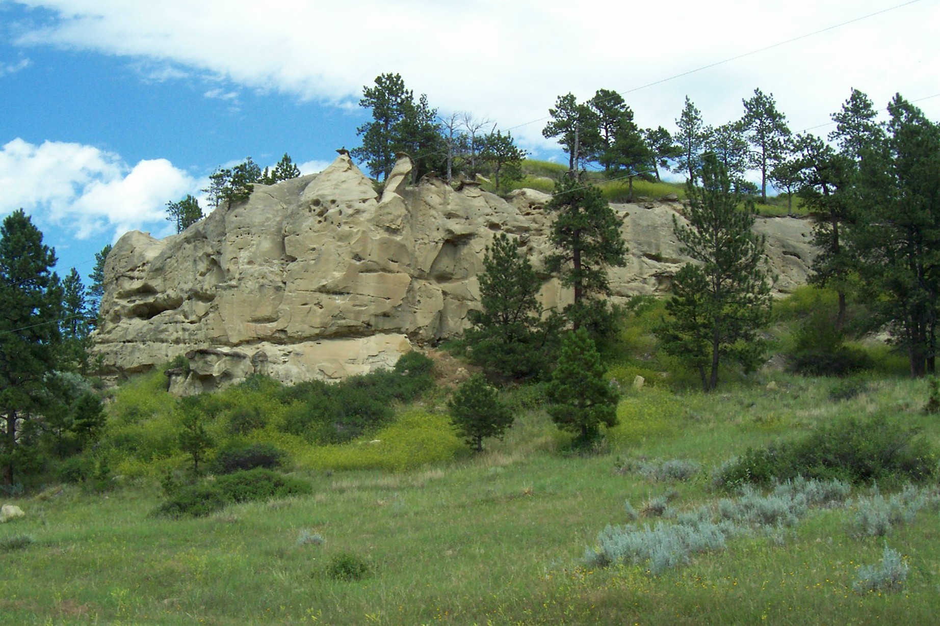 2019 July Montana Trip 006