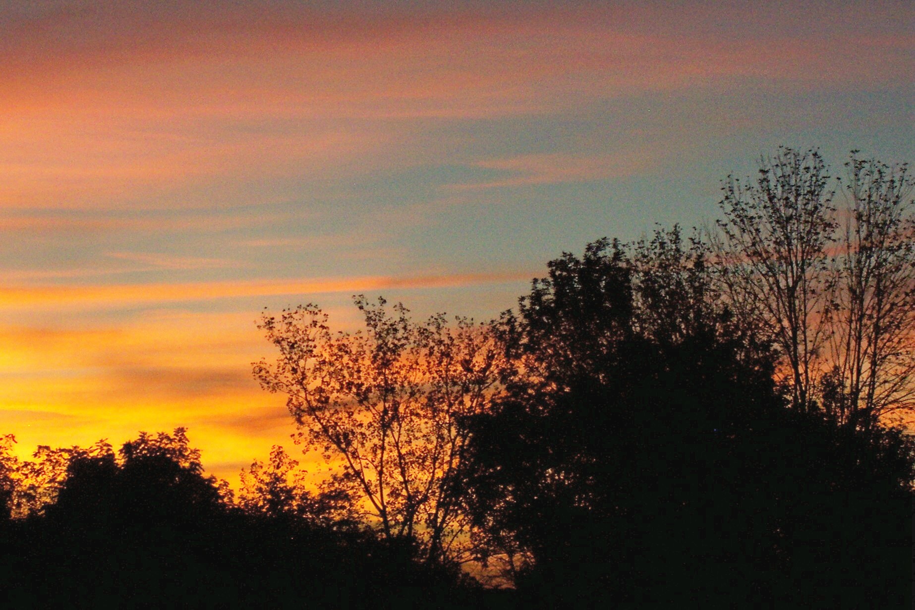 November 30, 2014 005