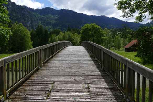 adventure boardwalk bridge daylight