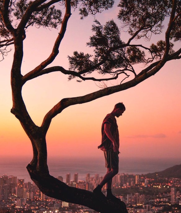 a photography of a man standing on a tree