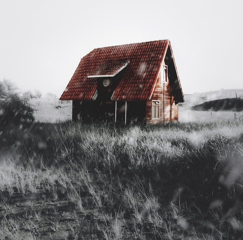 brown house on selective color photography