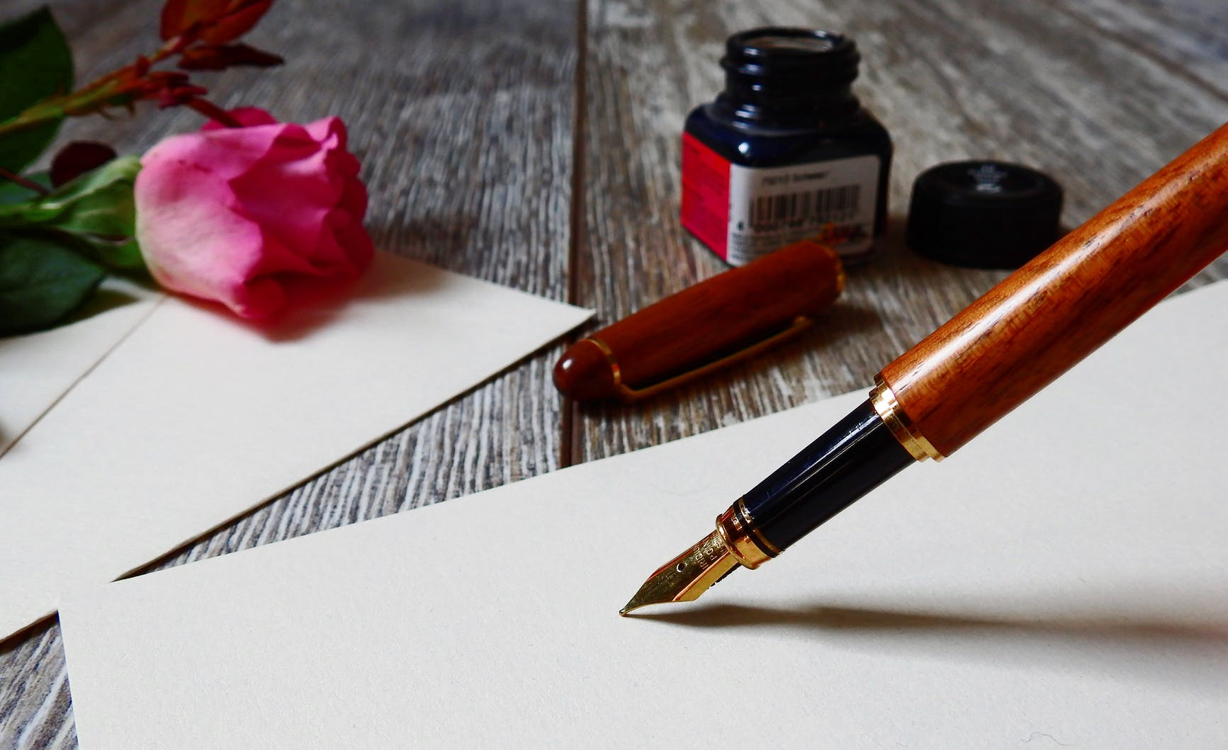 blank bloom blossom business